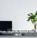 Houseplants Might Be Behind Your Sluggish Wi-Fi